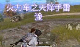 和平精英大盘鸡最新爆料,全新爆料揭秘神秘大盘鸡玩法